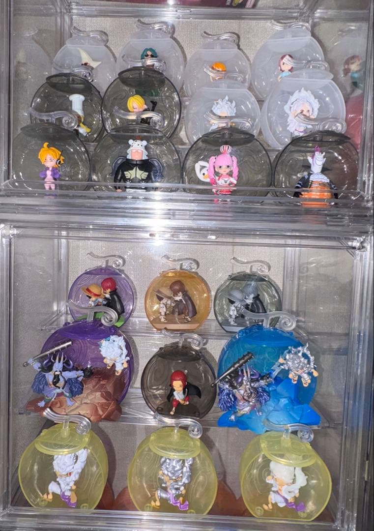 ワンピの実　フルコンプセット