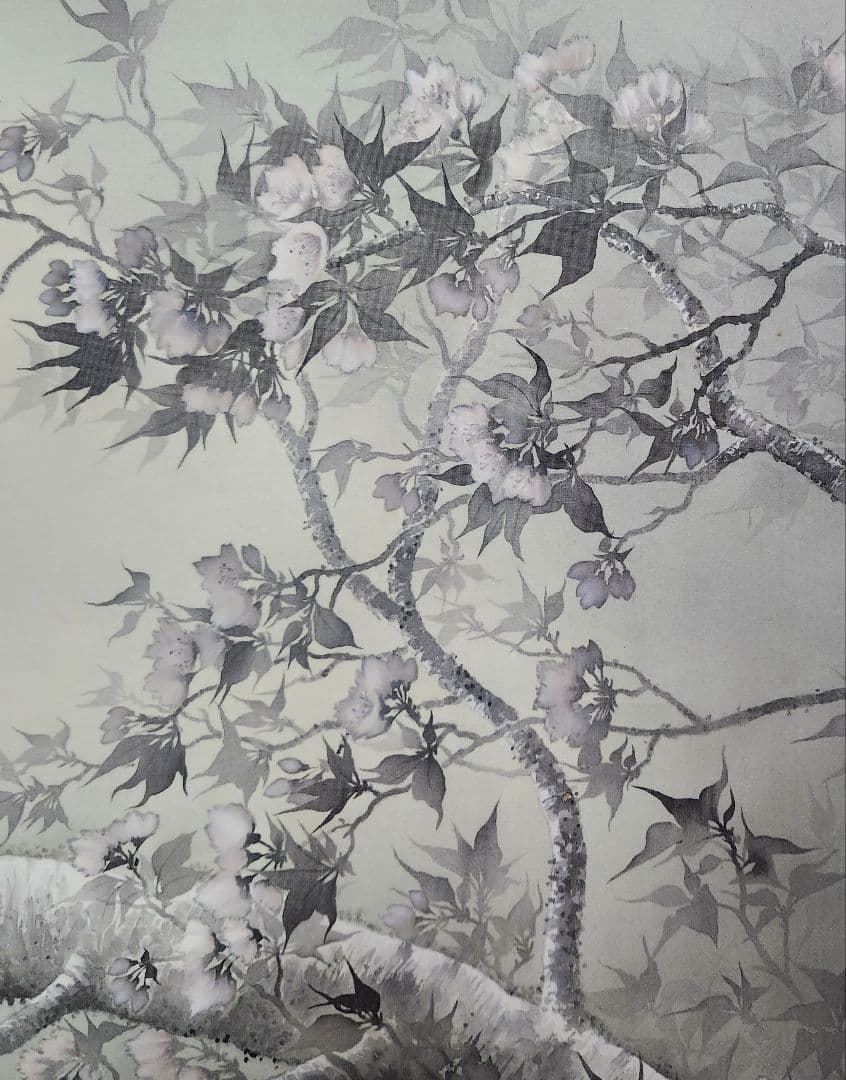 夜桜図】智 2613 花見 月 共箱 掛け軸 肉筆