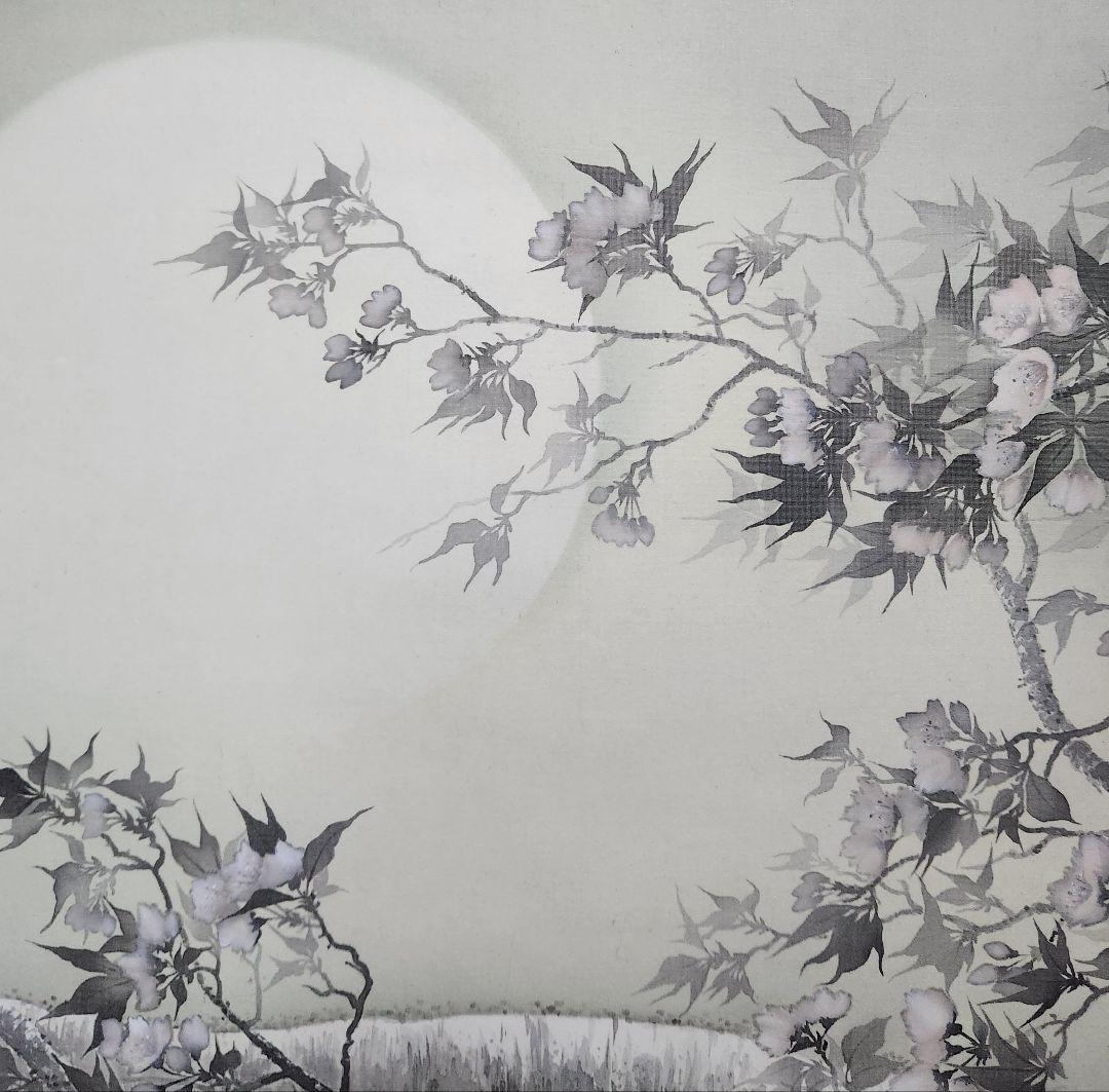 夜桜図】智 2613 花見 月 共箱 掛け軸 肉筆