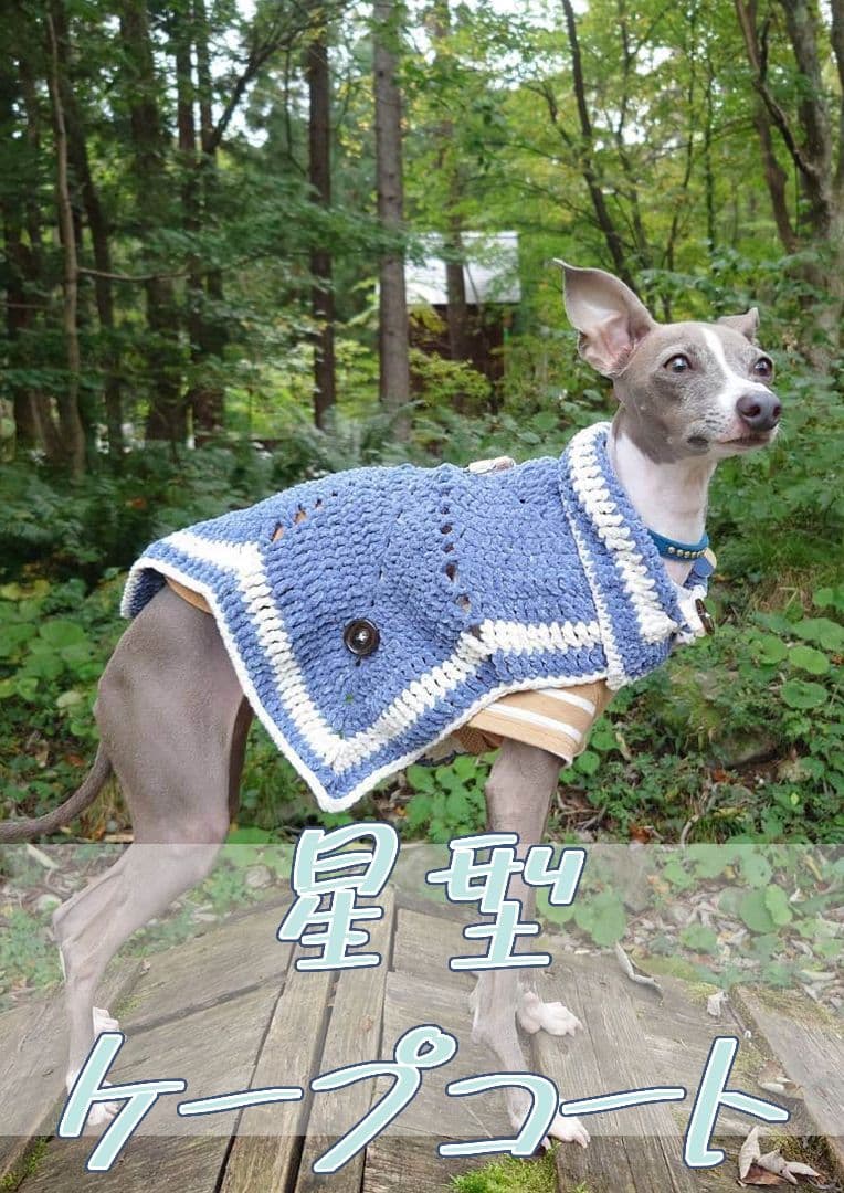 星形ケープコート ブルー&グレー