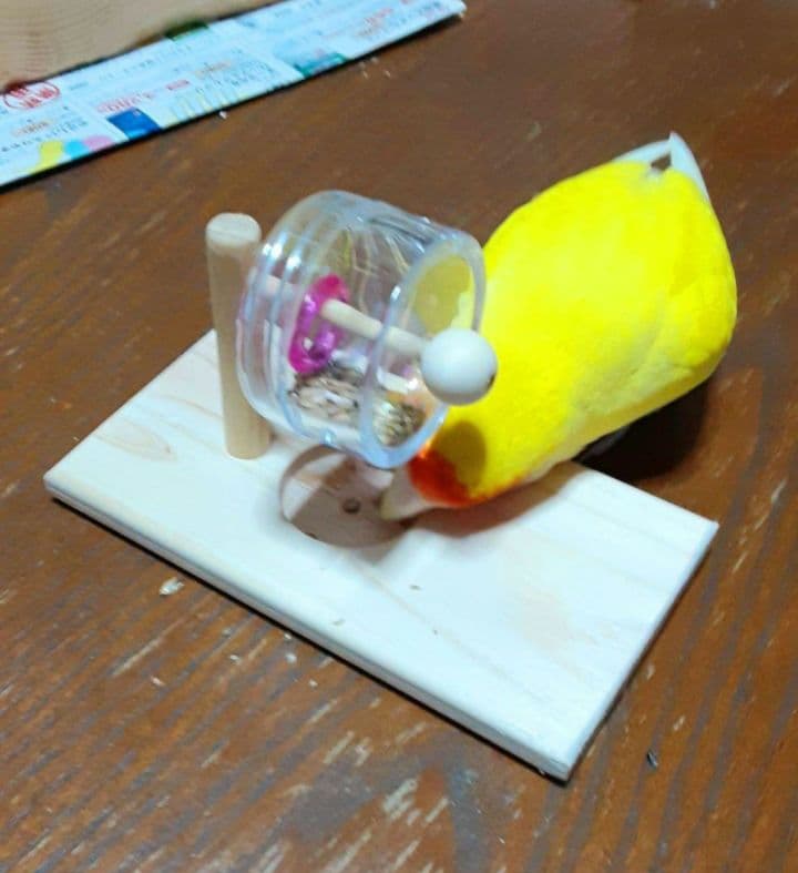 A8くるくるフォージントイ3点イセットバードトイ難易度高め