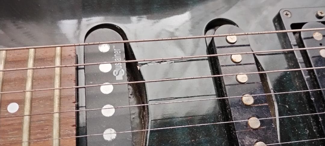 フェルナンデス サスティナー付き レフティ仕様