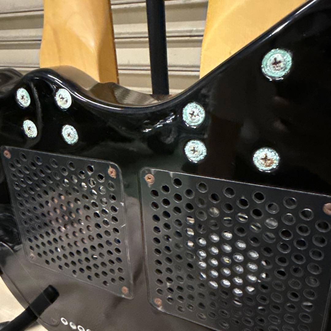 ギター Pignose PGG-TWIN