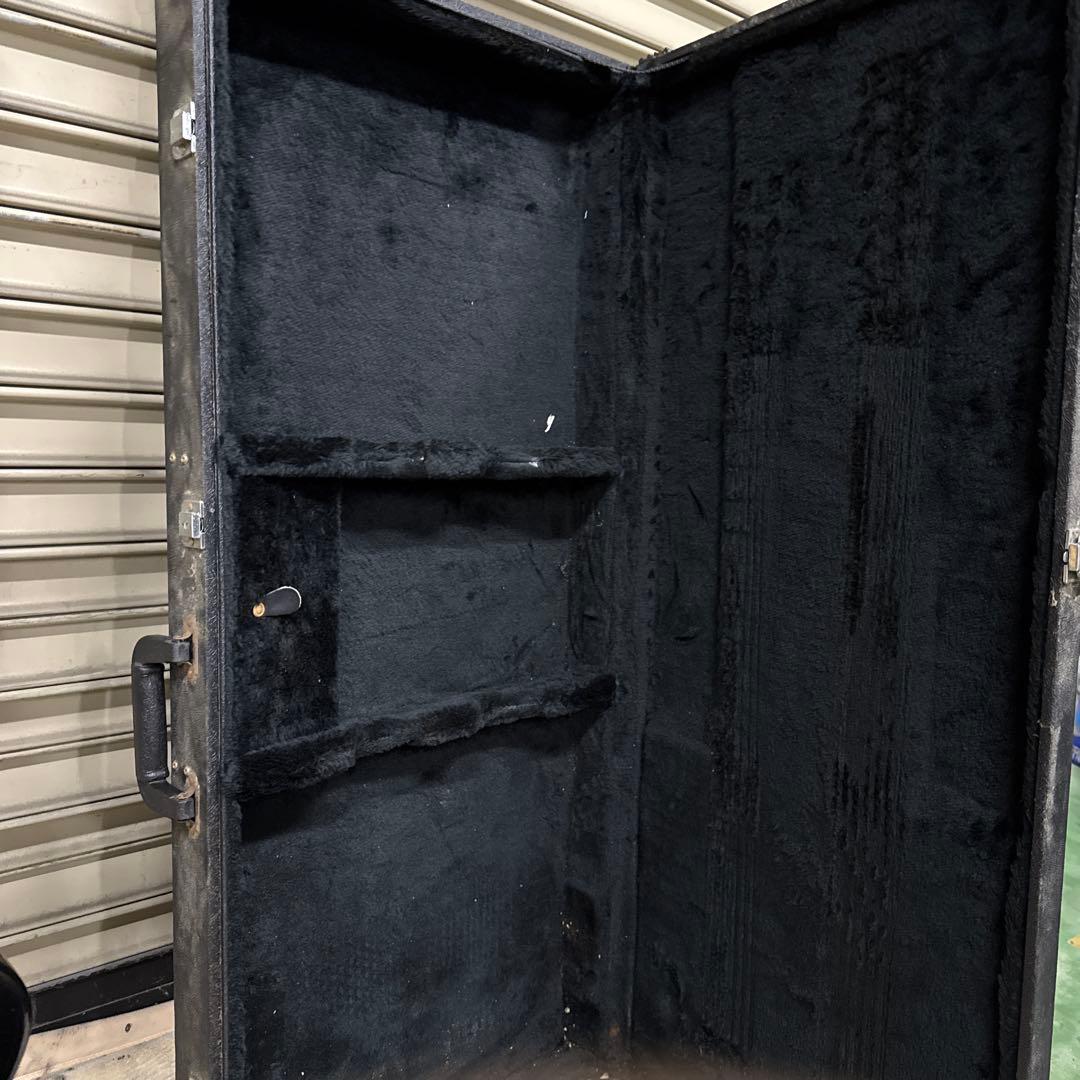 ギター Pignose PGG-TWIN