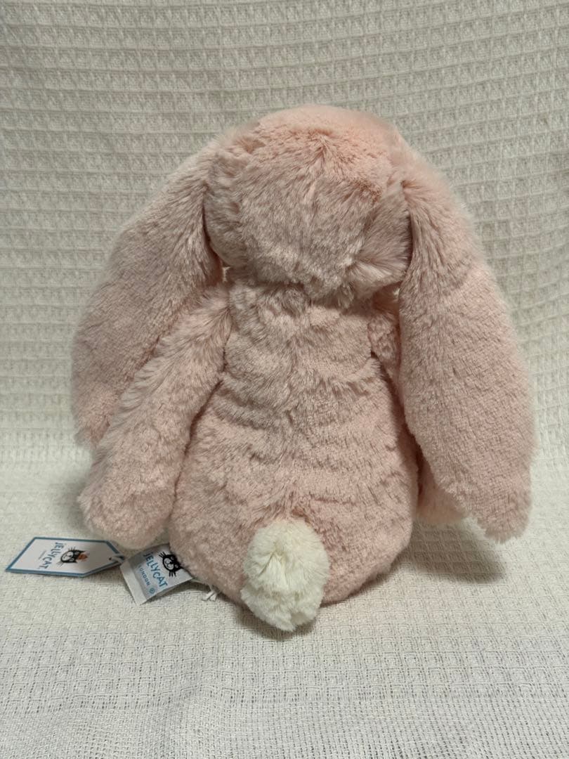 ジェリーキャットBlossom Blush Bunny 'Cherry （M)