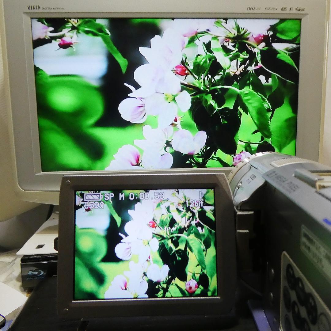 動作良好 パナソニックNV-GS100 MiniDVビデオカメラ　DVD化に最適