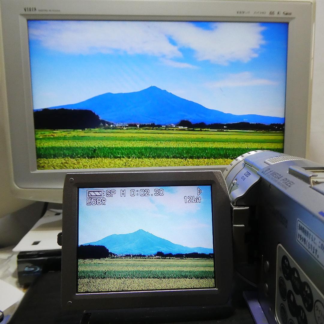動作良好 パナソニックNV-GS100 MiniDVビデオカメラ　DVD化に最適