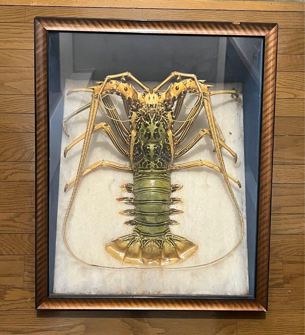 伊勢海老 海老 縁起物 置物 - メルカリ