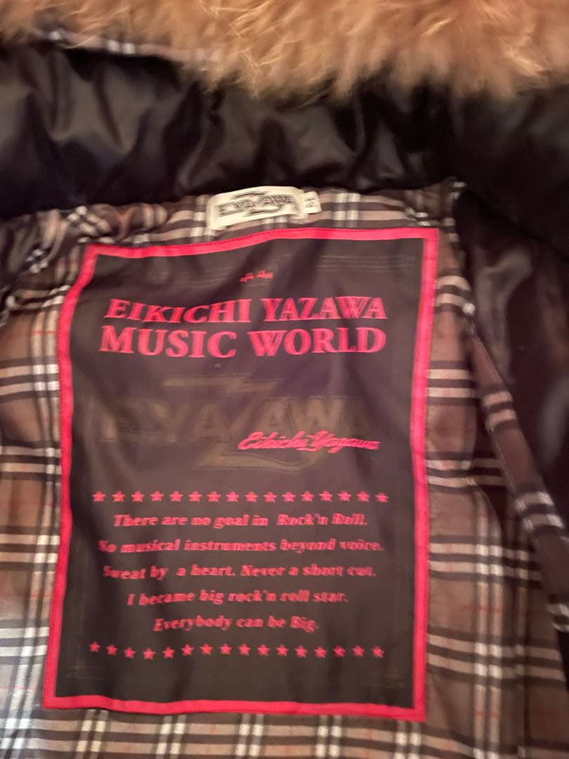 矢沢永吉 ダウンジャケット