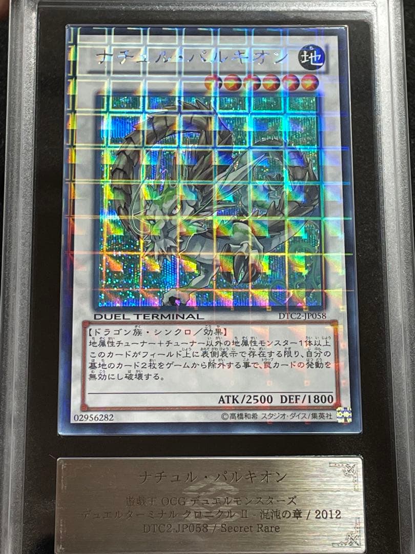 【ARS鑑定 10】ナチュルパルキオン　DTC シークレットレア　貴重！