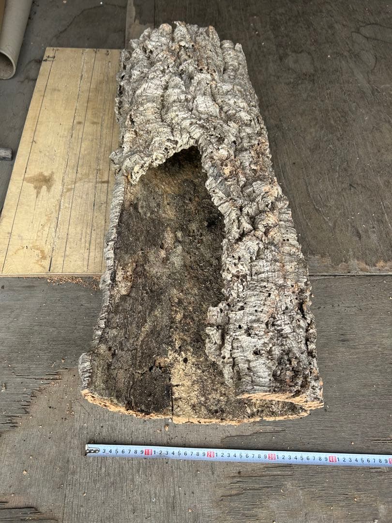 ポルトガル産コルク樹皮PL-102-10LL