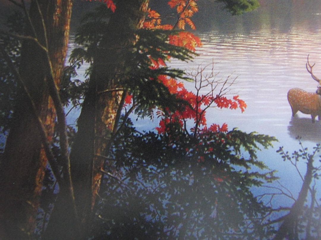 山地司、【鹿の住む森-3】、希少な額装用画集より、新品額装付、状態良好