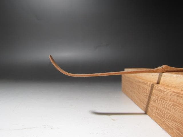 ☆表千家十二代惺斎 自作茶杓 山里 十三代即中斎