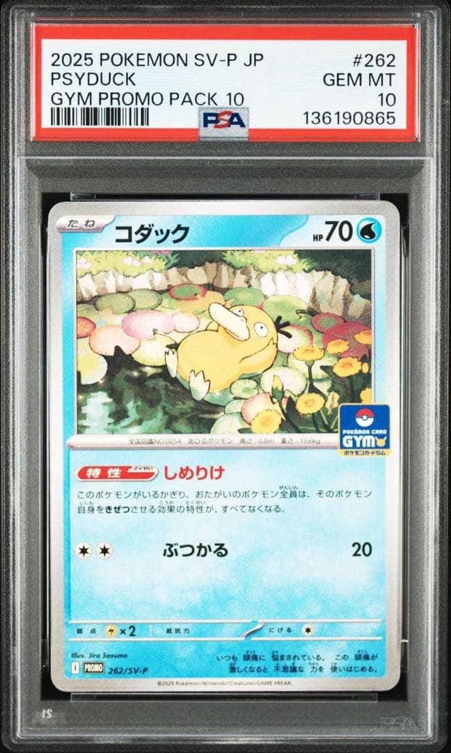 PSA10】コダック しめりけ ジムプロモ 262/SV-P - メルカリ