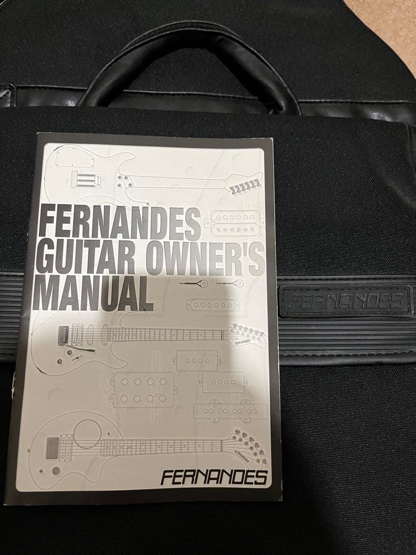 Burny バーニー　レスポール　エレキギター