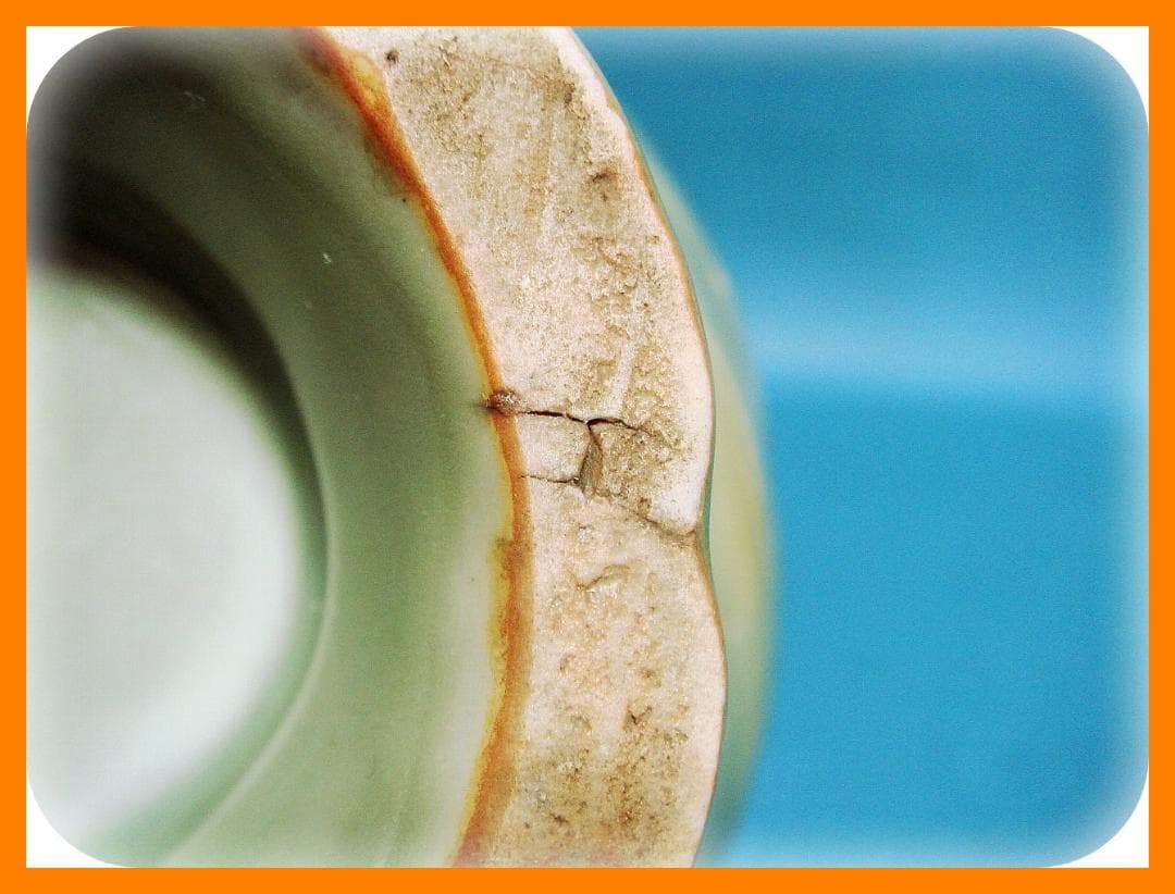 638『青磁 輪花 盃洗』 /骨董品 古美術 古道具 アンティーク