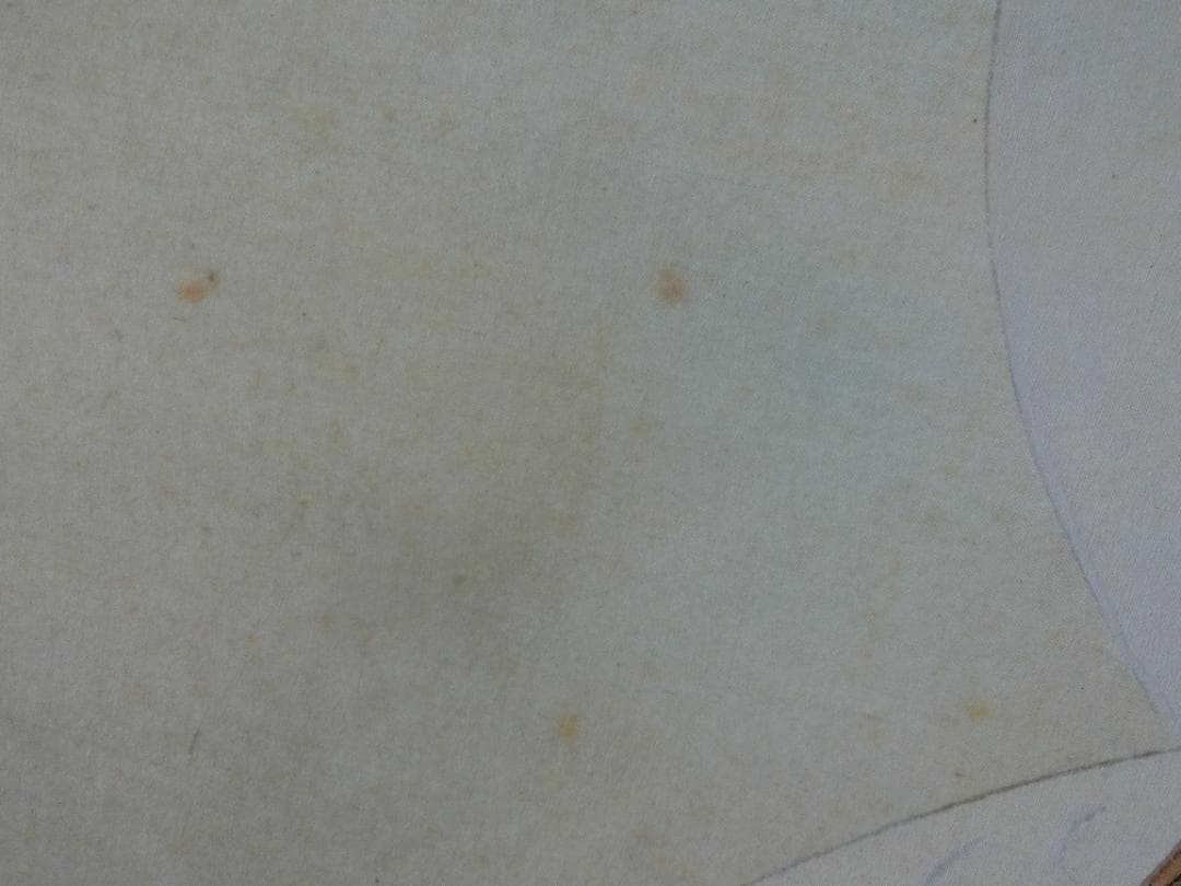 桂泉画 鶴 日本画 掛け軸