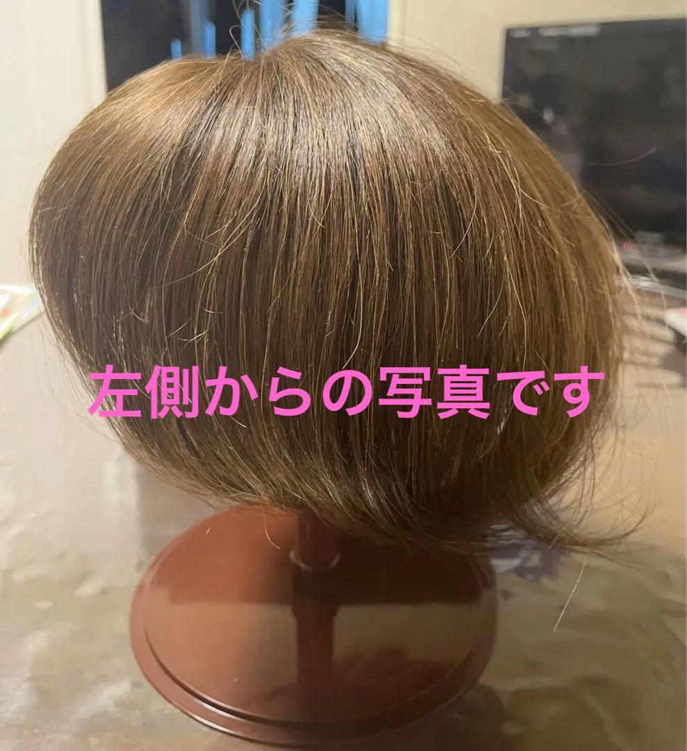 お値下げ❣️アートネイチャー左分け人毛100ショート頭頂部ウイッグ自然なブラウン