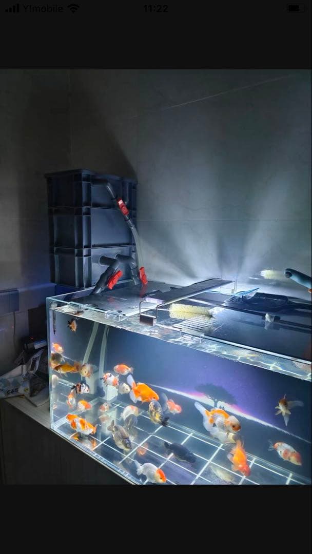 水槽ろ過装置」の人気商品一覧 | 安い商品を通販サイトから探す - 価格.