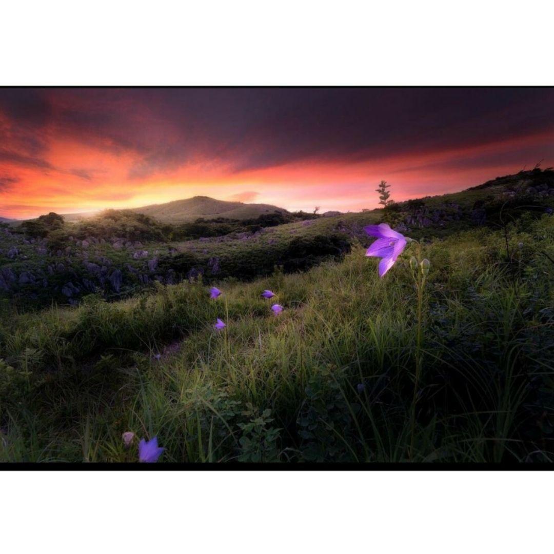 フォトパネル⑤□北九州□A2サイズ□フレーム付