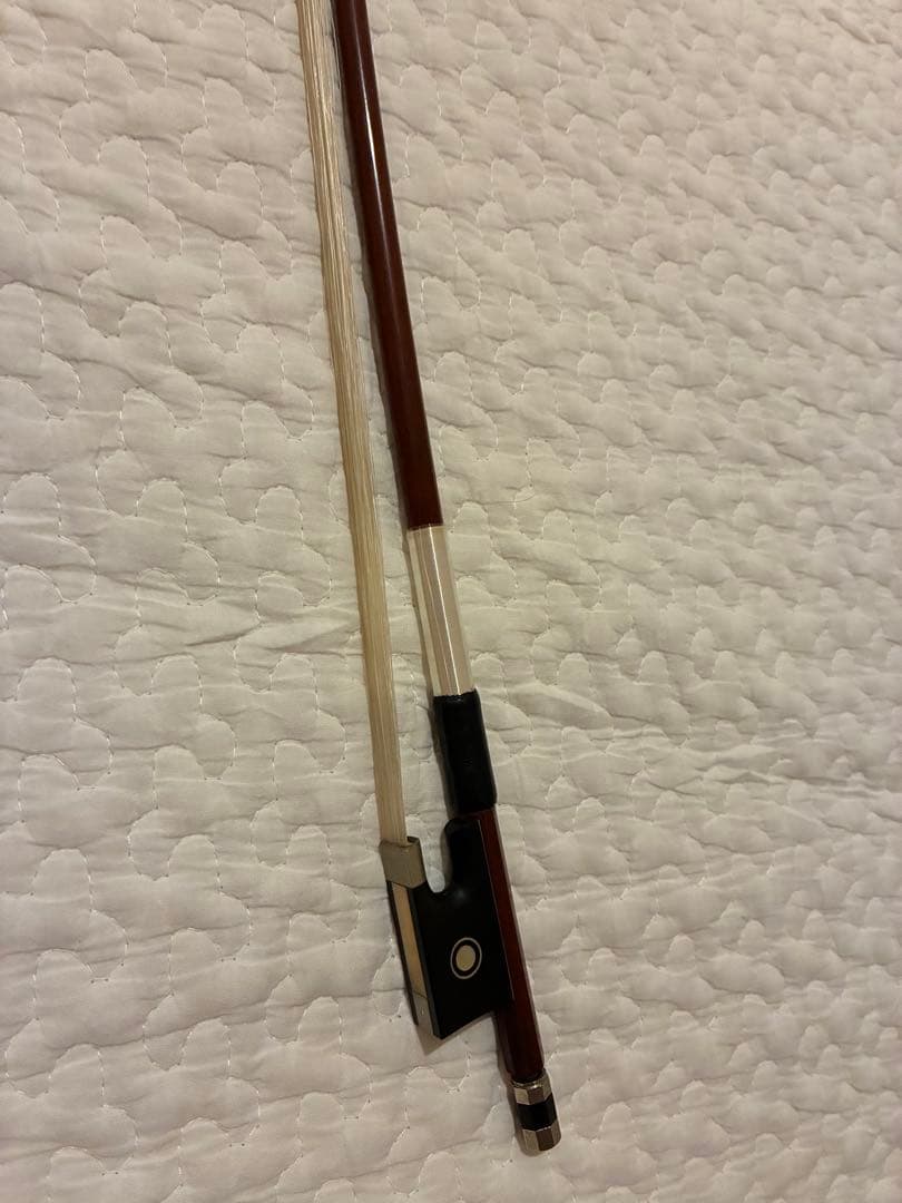 バイオリン 1/10サイズ カルロジョルダーノ【7点セット】