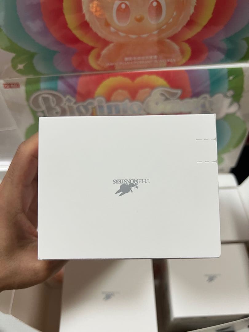 【正規品・未開封】Labubu Big into Energy 10箱