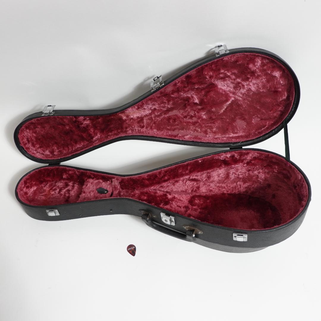 Suzuki スズキ マンドリン M-215 ハードケース付き