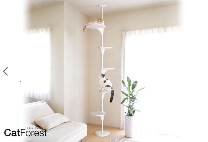 OPPO 本物 Cat Forest（オッポ キャットフォレスト）ホワイト Cat