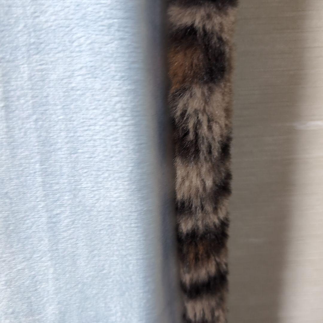 櫻井敦司　ブランケット