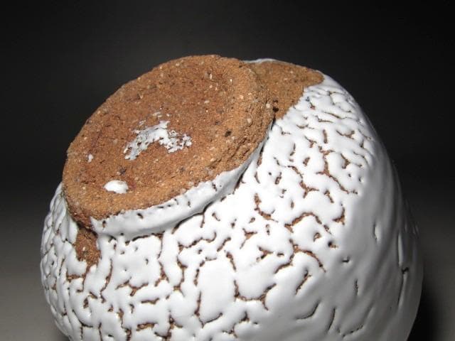 人間国宝 十一代三輪休雪 白萩茶碗「白雲」表千家即中斎花押t411