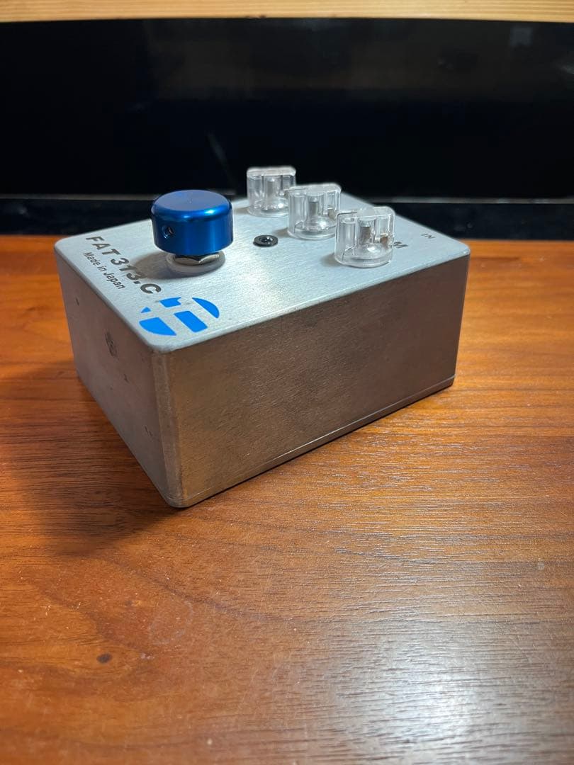 ギター FAT 313.C
