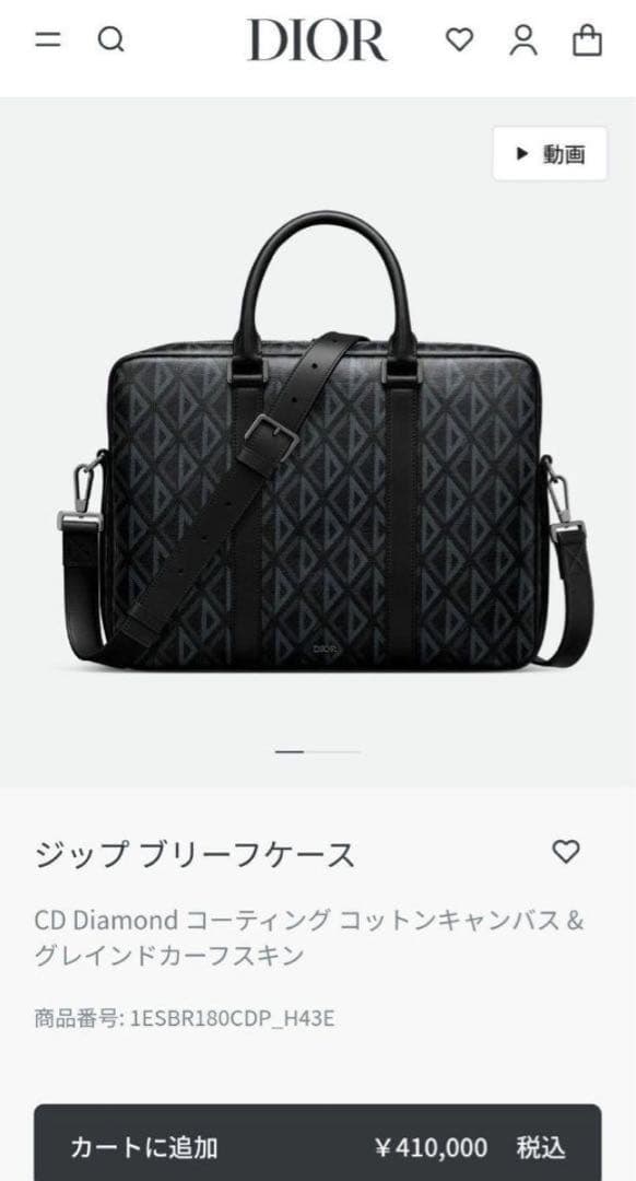 DIOR ブリーフケース　トートバッグ