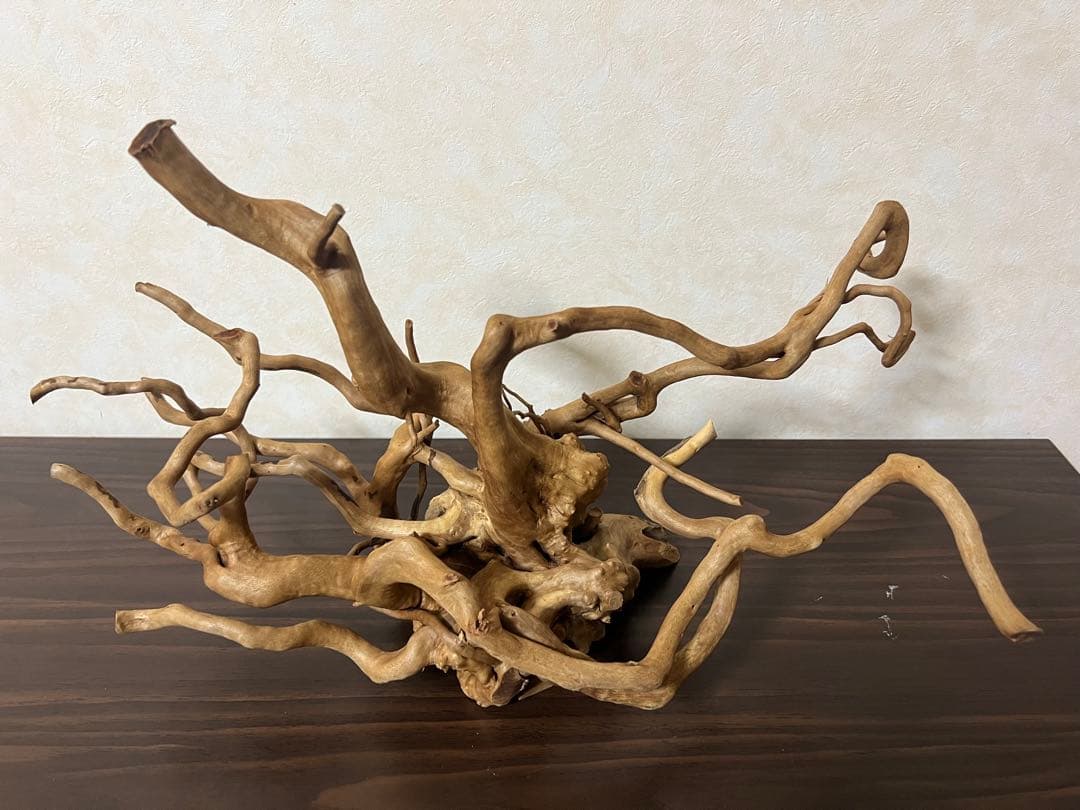 70215 ブランチウッド 流木 アクアリウム 沈水確認済