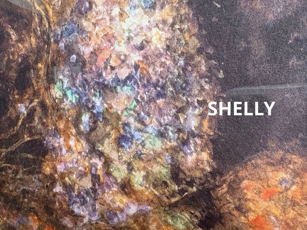 【希少】天野喜孝/旅路 (シリアルナンバー入)