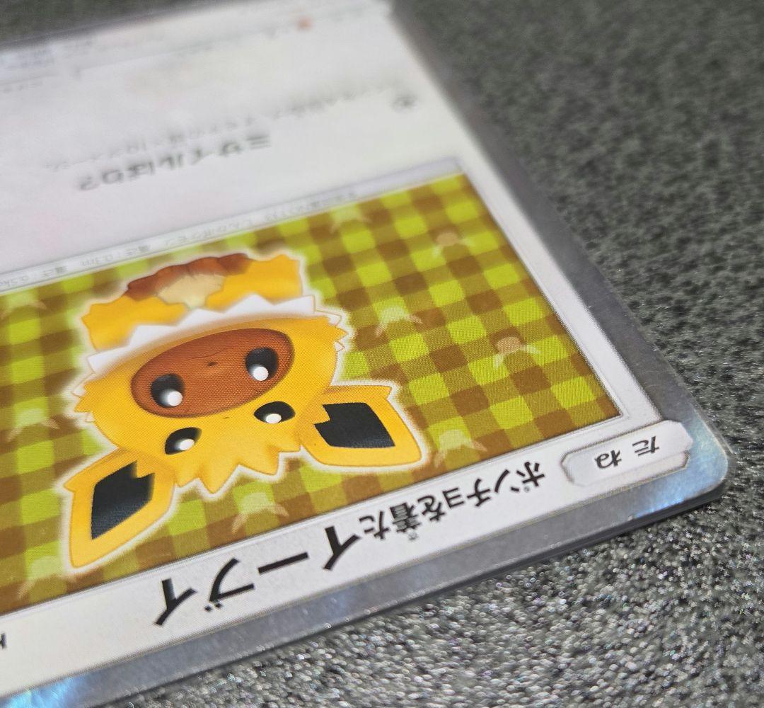 ポンチョを着たイーブイ 水曜日限定価格