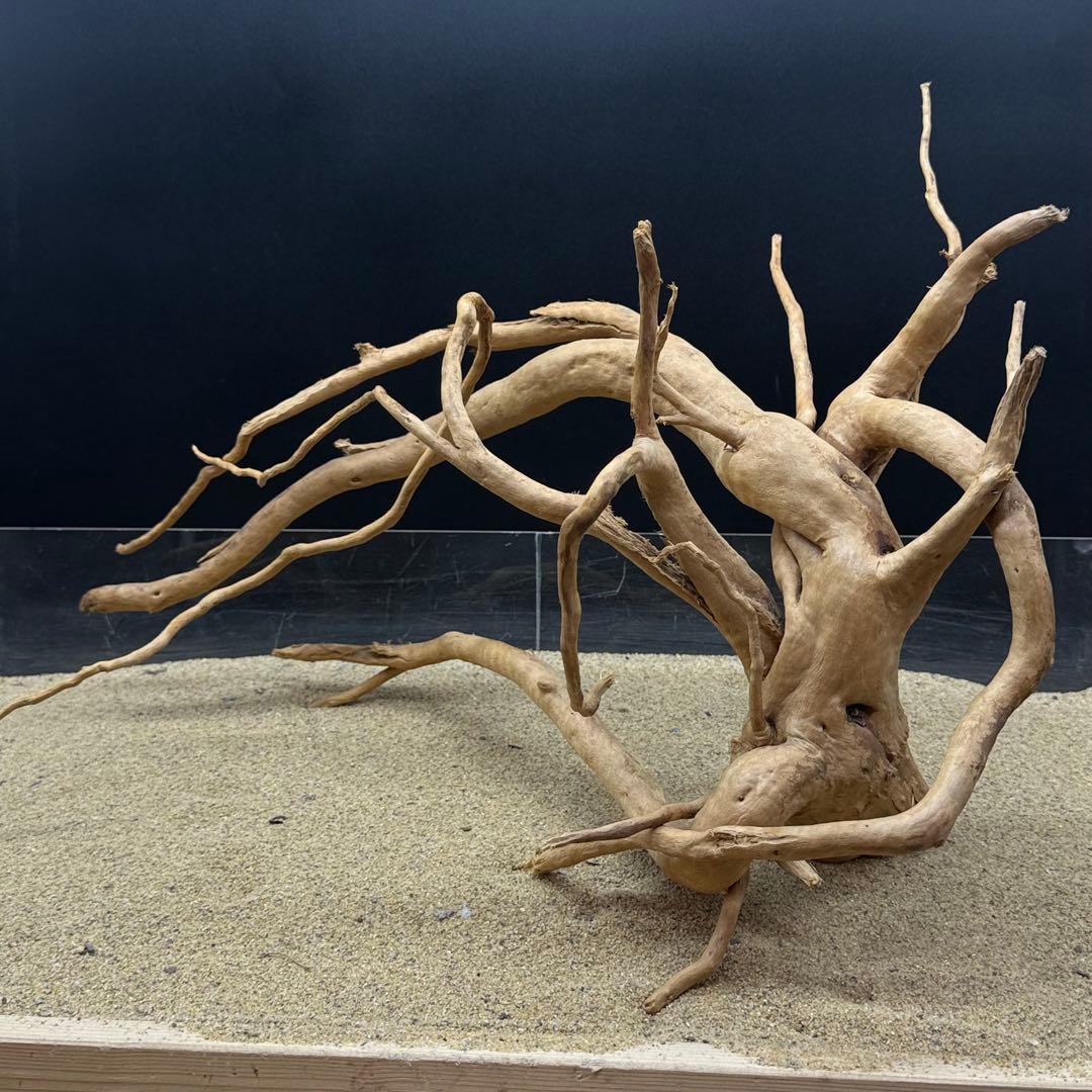 MDW-6989 特大ブランチウッド 流木 枝流木 アクアリウム
