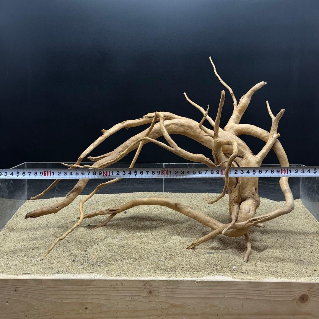 MDW-6989 特大ブランチウッド 流木 枝流木 アクアリウム