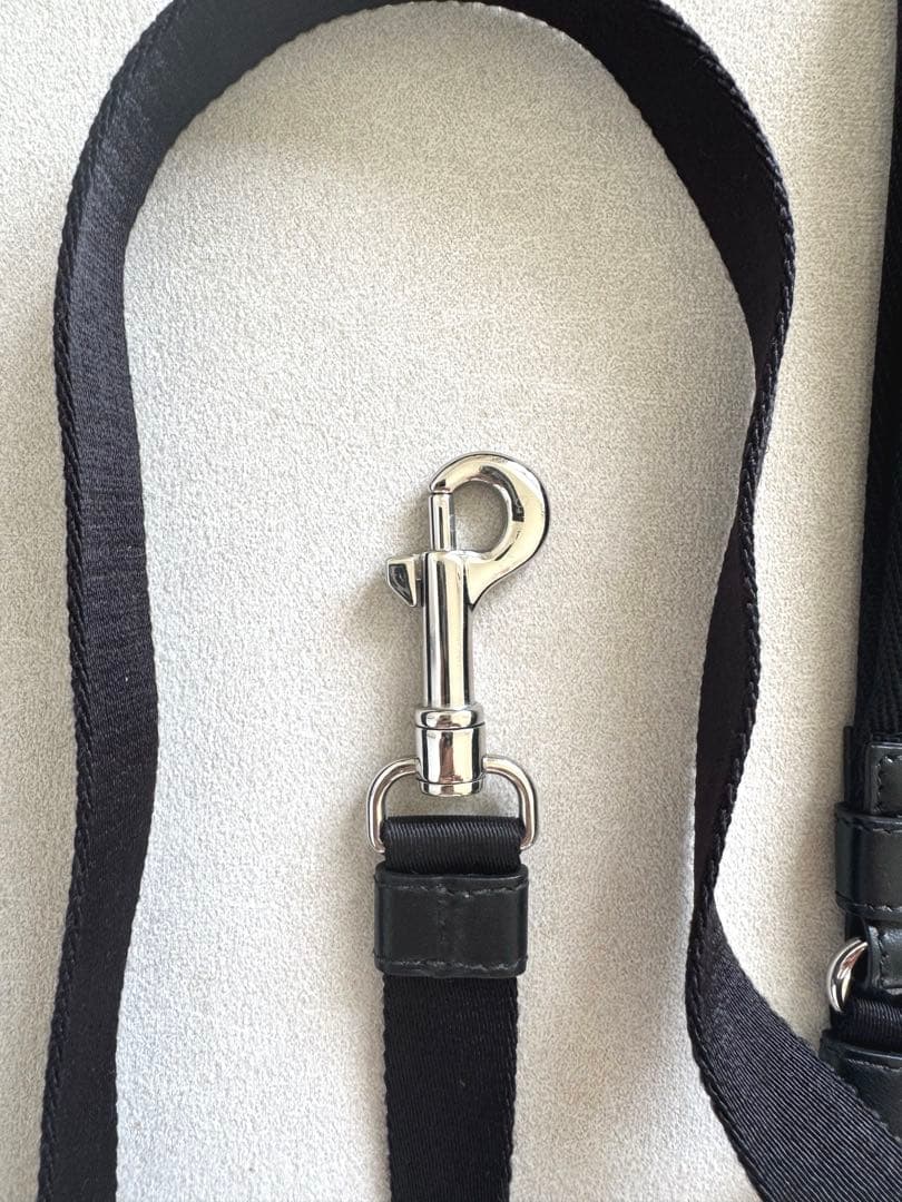 PRADA プラダペットリード 2YG008