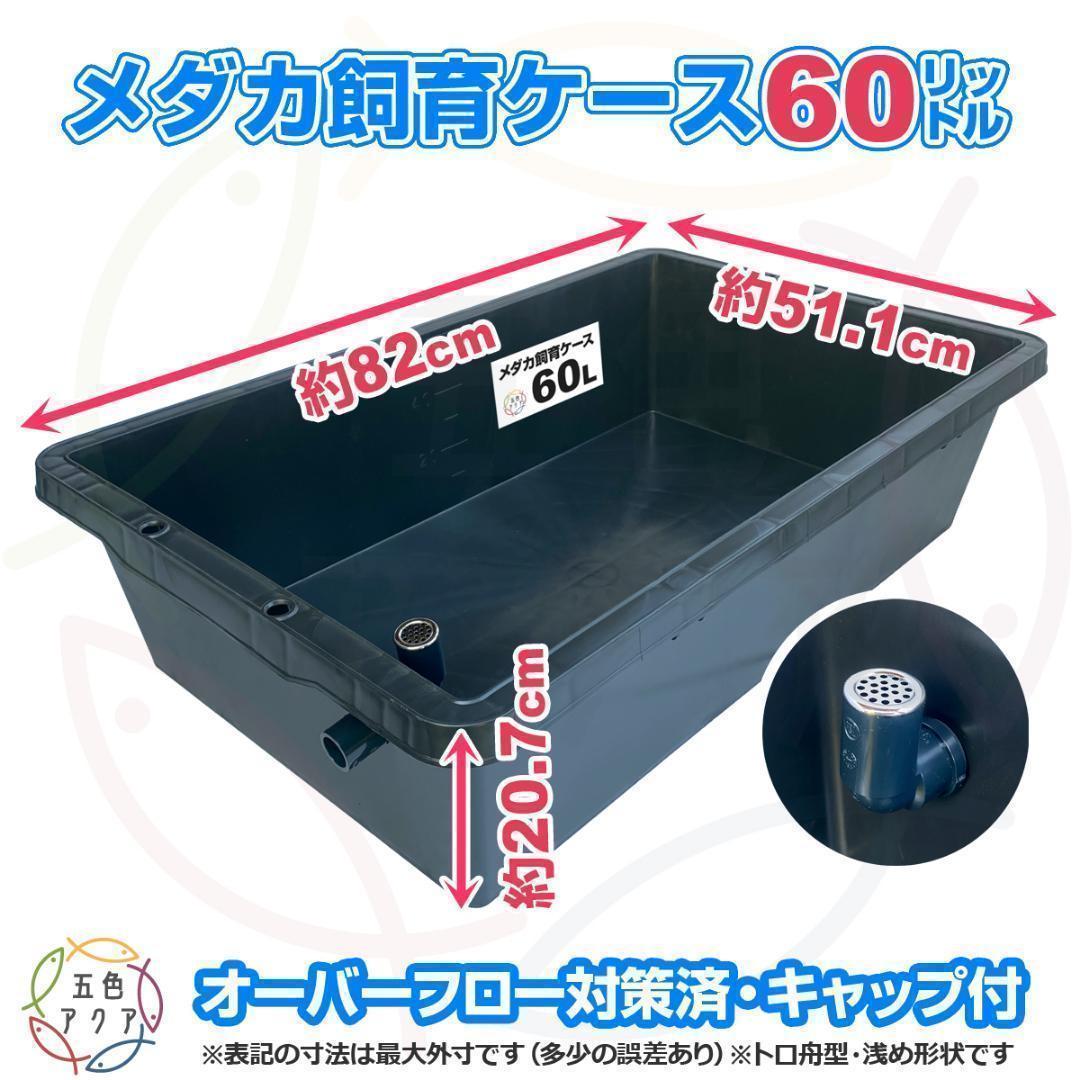 メダカ飼育ケース 60㍑x3個 トロ舟 オーバーフロー付 金魚飼育容器