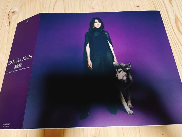 ZORN DVD 「おゆうぎかい」 限定版CD,ステッカー付き