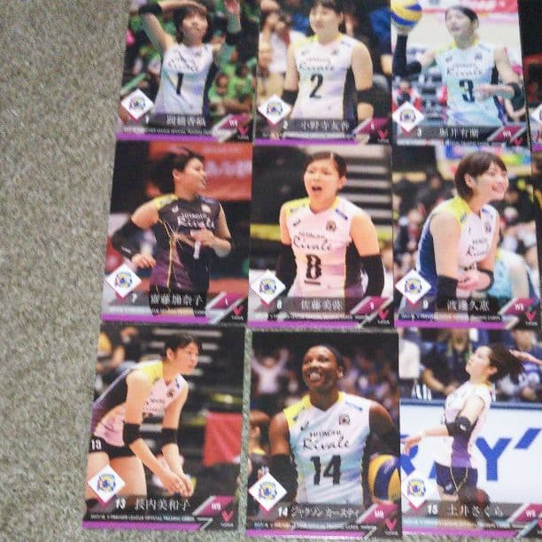 V.LEAGUE17/18トレカ