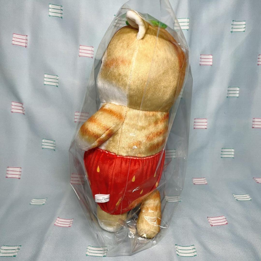 まとめ売り【モフサンドmofusand】フルーツにゃん BIGぬいぐるみ 5体