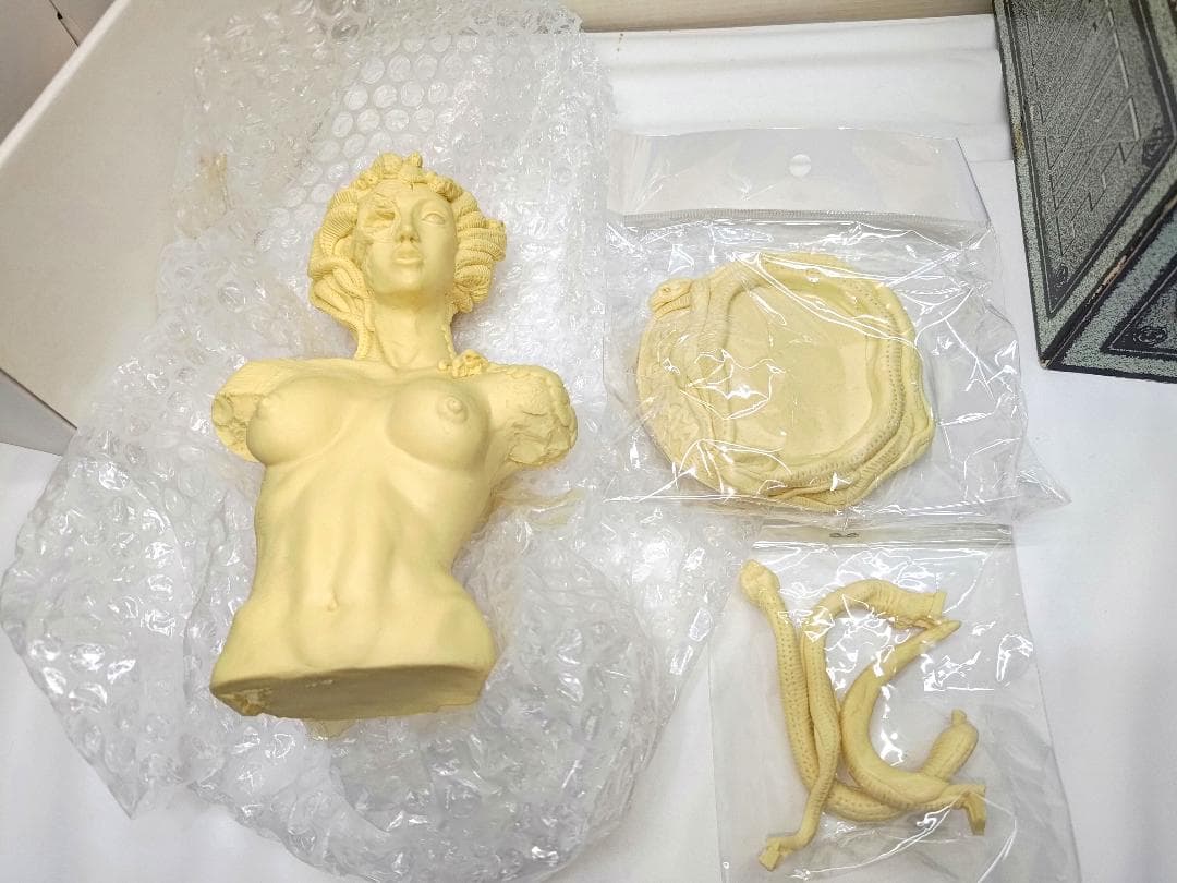 フューチャーモデルズ　MEDOUXSA メデューサ ガレキ　韮澤靖