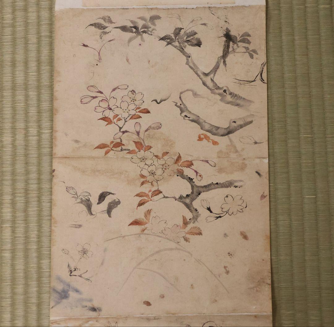 【模写】日本画 穂庵先生 人物花鳥 紙本 巻物 捲り デッサン 美人 MA852