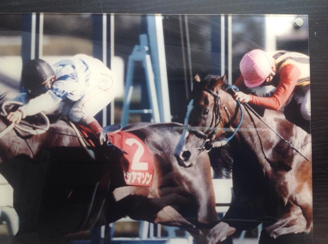 競馬パネル：ヒシアマゾン「1995年第41回産経賞オールカマー」