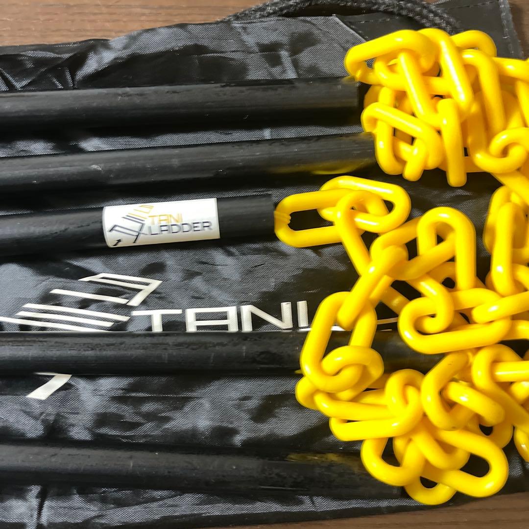 タニラダー DVD2枚（アドバンスド インストラクション) ラダー付き