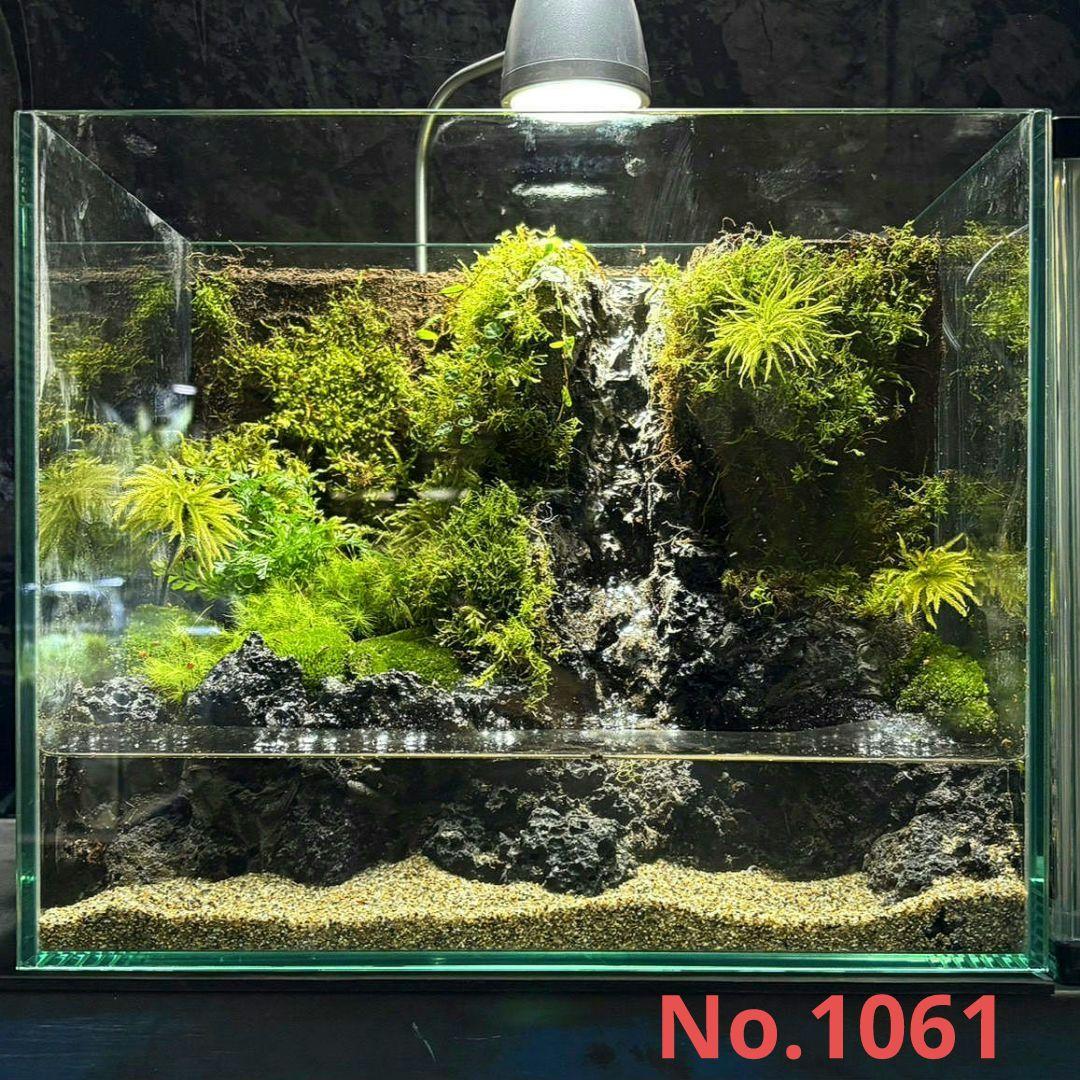 滝の流れるアクアテラリウム イモリウム No.1061