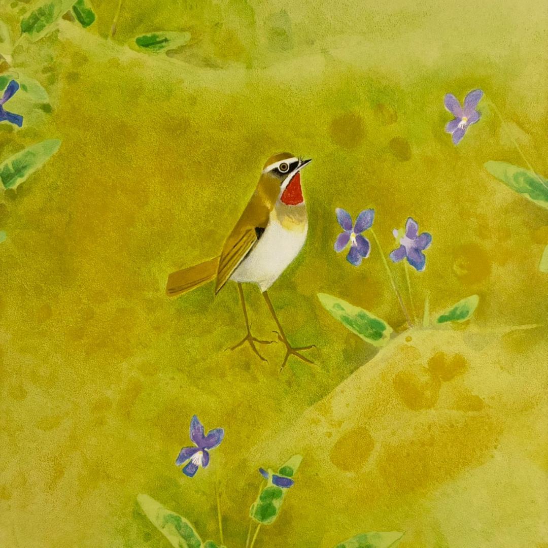 美品 上村松篁「春野」リトグラフ 直筆サイン・印章入 保証書有 花鳥画