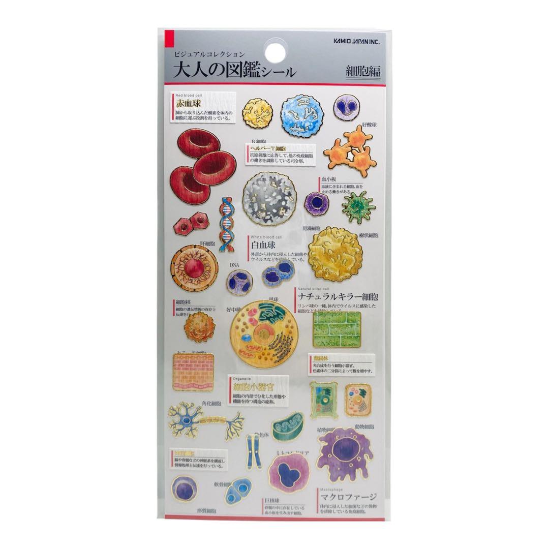 花様 リクエスト 6点 まとめ商品 - メルカリ