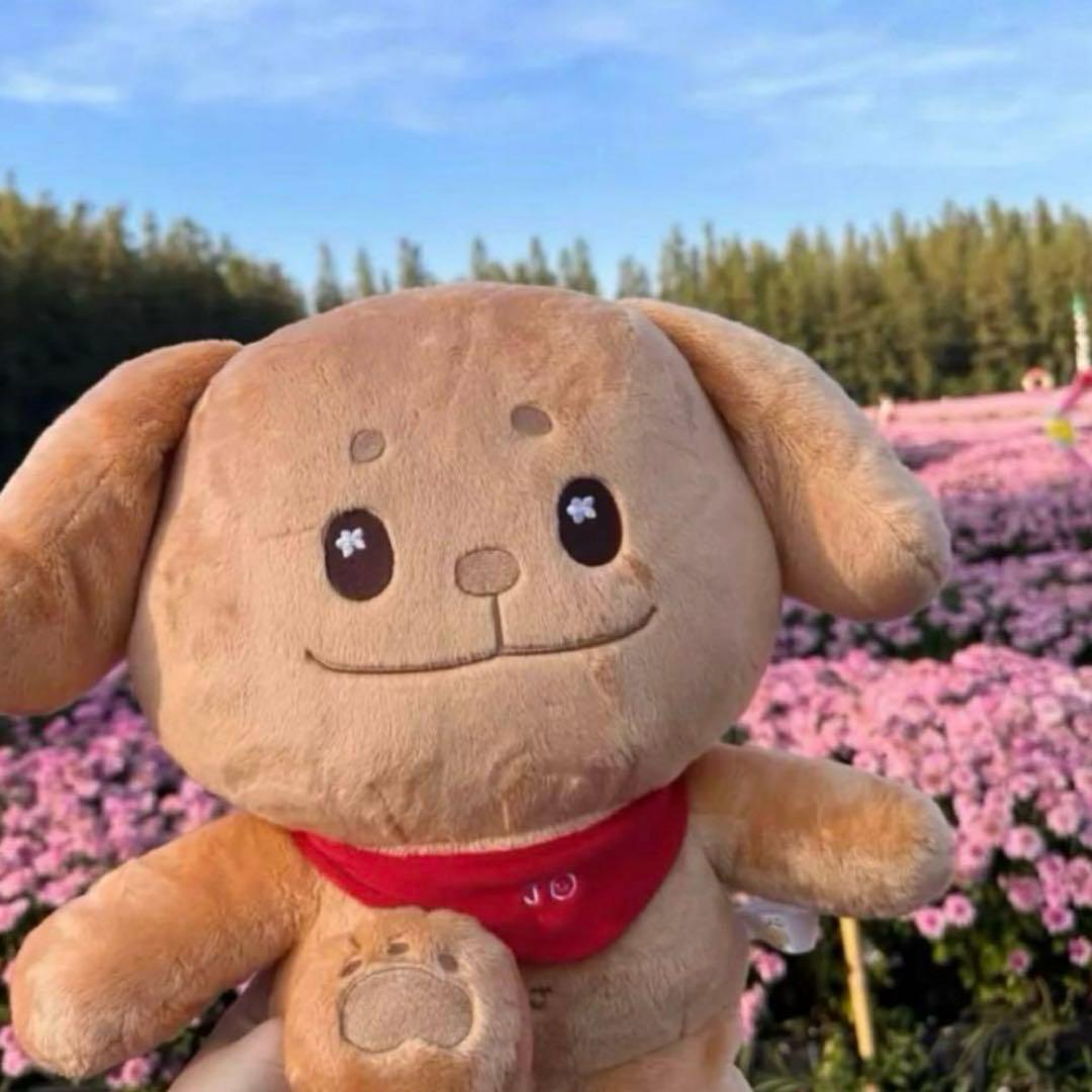 みー　プロフ必読